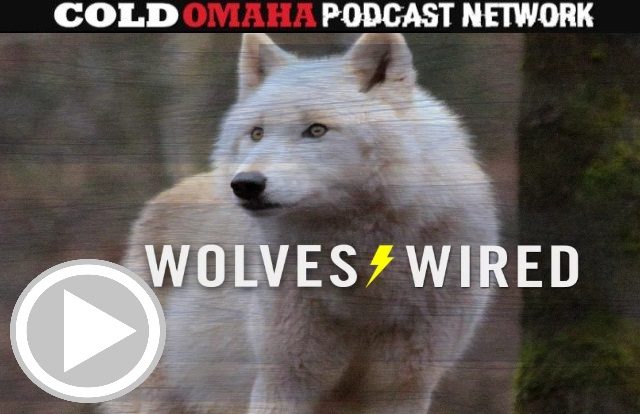 06 - Wolves Wired Wolves Wired